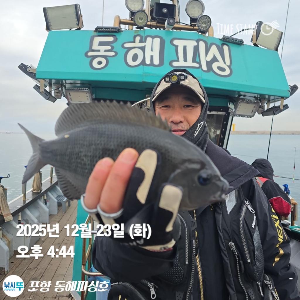 낚시뚜,감성돔,포항(운하관),포항 동해피싱호,낚시뚜5