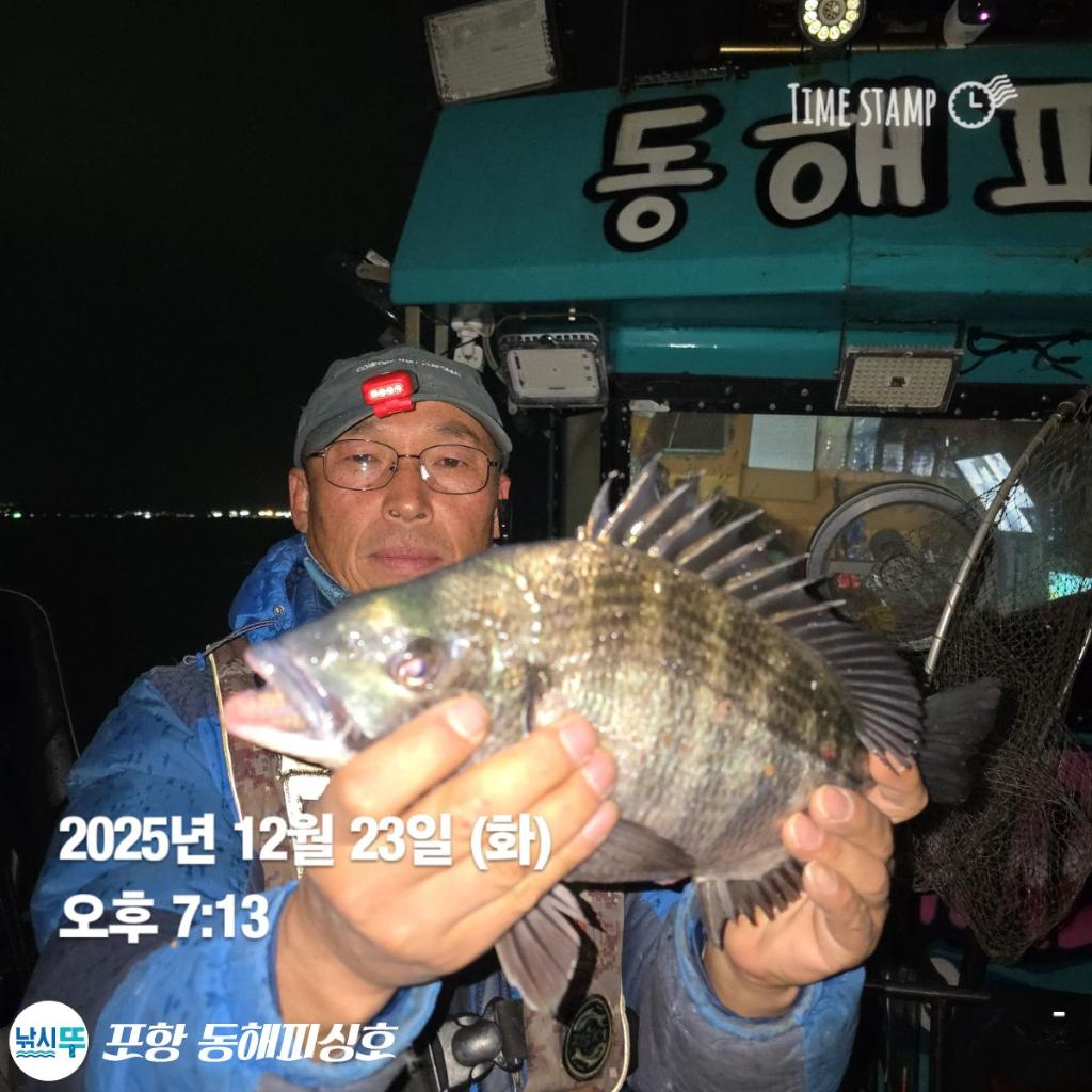 낚시뚜,감성돔,포항(운하관),포항 동해피싱호,낚시뚜4