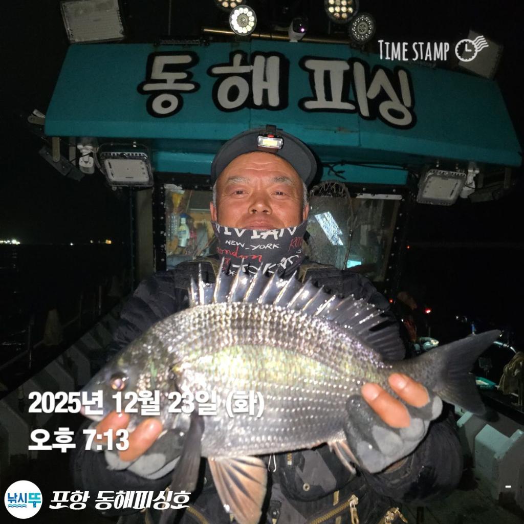 낚시뚜,감성돔,포항(운하관),포항 동해피싱호,낚시뚜0