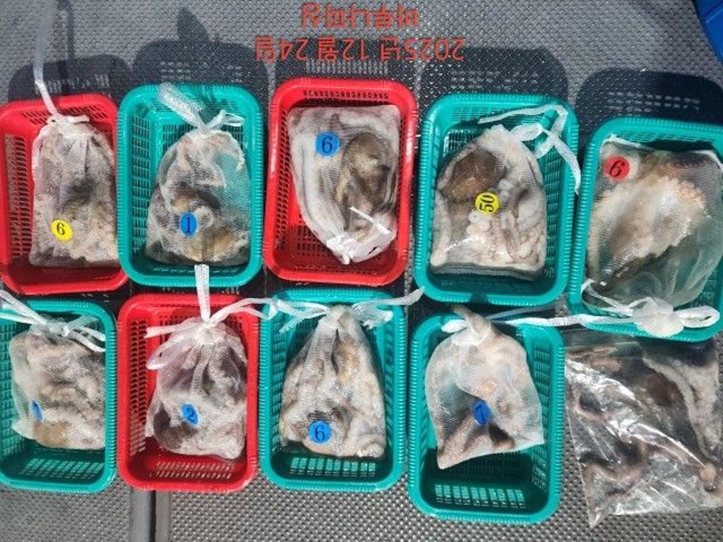 낚시뚜,낙지,속천항(진해),바루나피싱,낚시뚜9