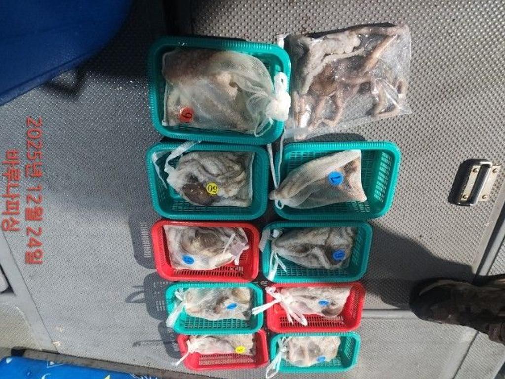 낚시뚜,낙지,속천항(진해),바루나피싱,낚시뚜8