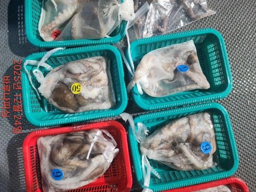 낚시뚜,낙지,속천항(진해),바루나피싱,낚시뚜7