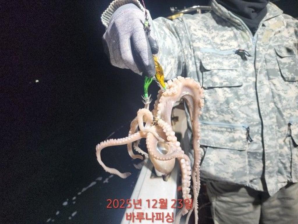 낚시뚜,낙지,속천항(진해),바루나피싱,낚시뚜0