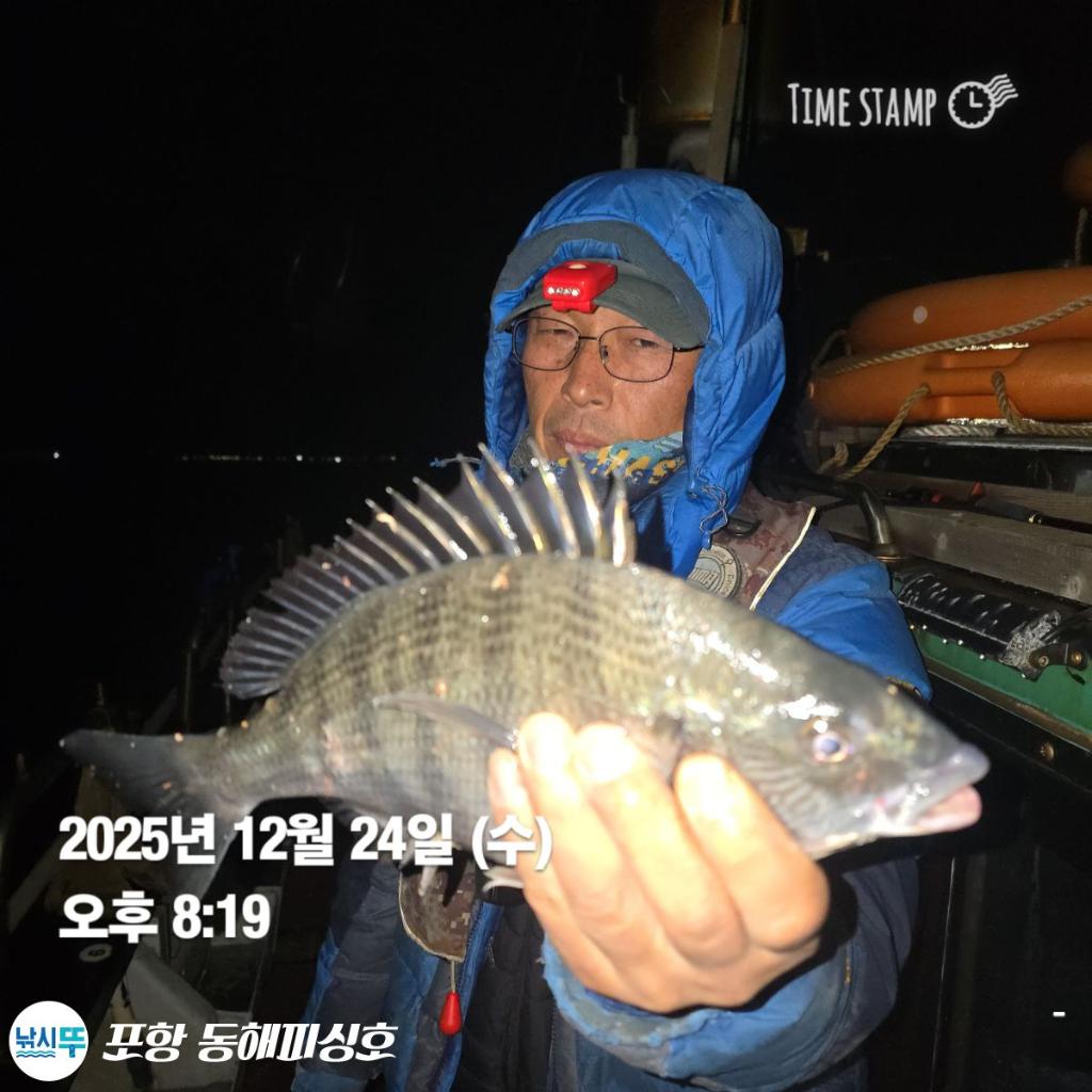 낚시뚜,감성돔,포항(운하관),포항 동해피싱호,낚시뚜2