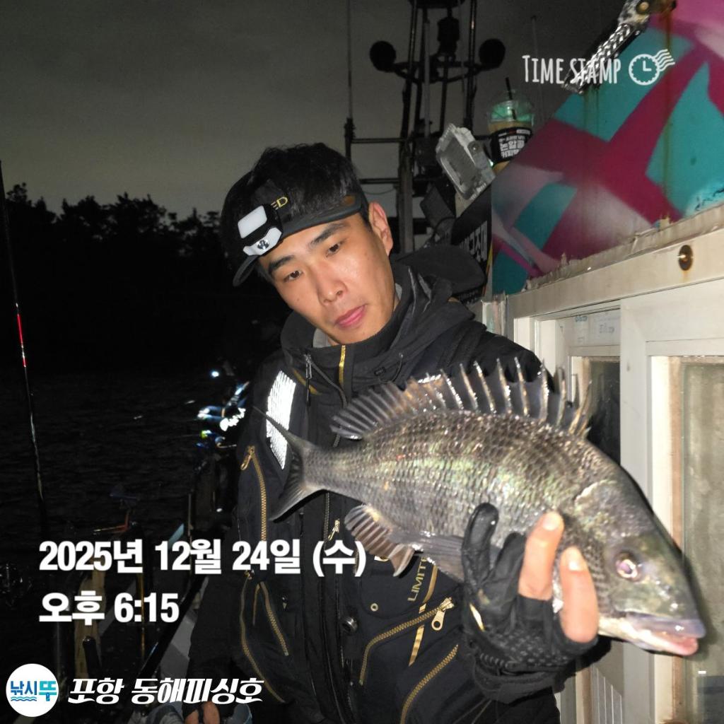 낚시뚜,감성돔,포항(운하관),포항 동해피싱호,낚시뚜0