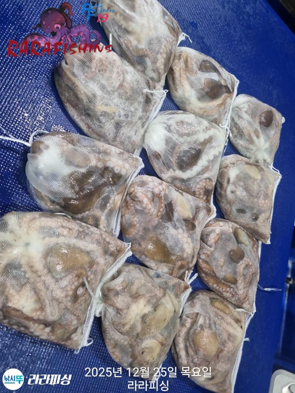 낚시뚜,낙지,속천항(진해),라라피싱,낚시뚜9