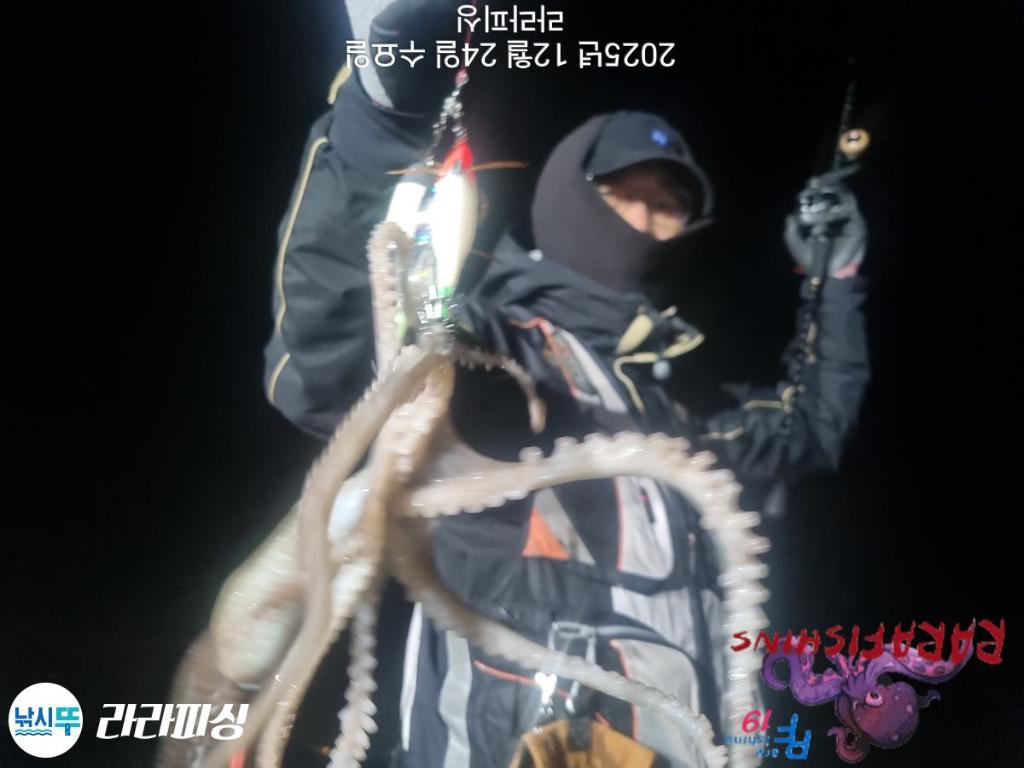 낚시뚜,낙지,속천항(진해),라라피싱,낚시뚜4