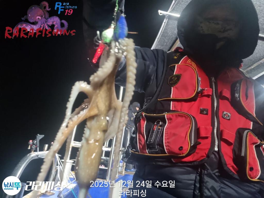 낚시뚜,낙지,속천항(진해),라라피싱,낚시뚜2