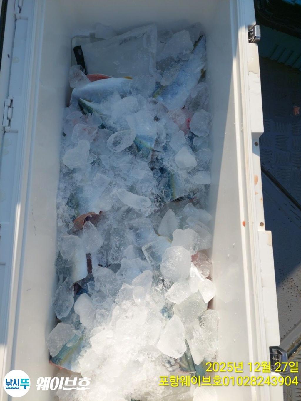 낚시뚜,방어,삼치,구룡포항,뉴웨이브호,낚시뚜15