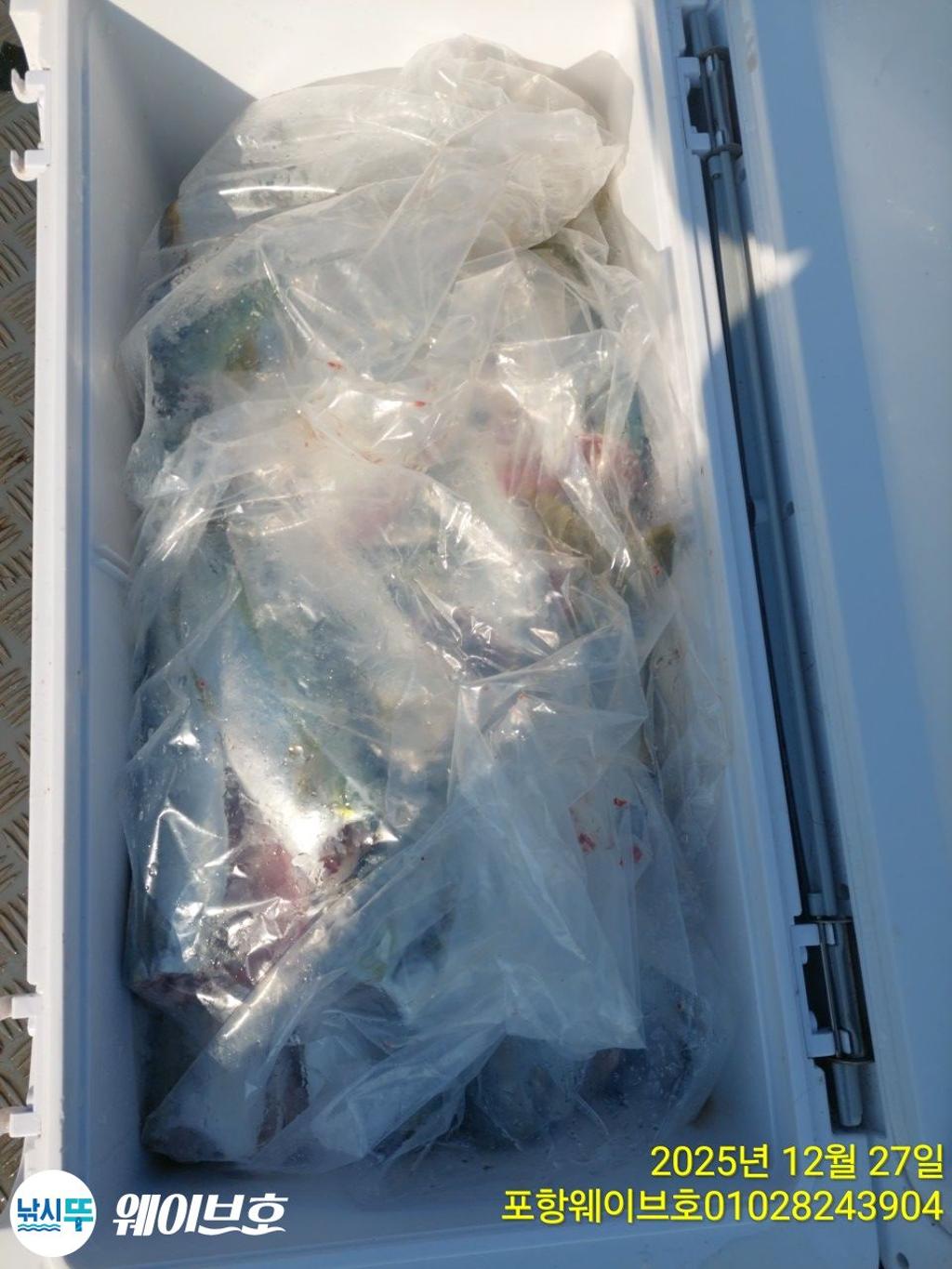 낚시뚜,방어,삼치,구룡포항,뉴웨이브호,낚시뚜14