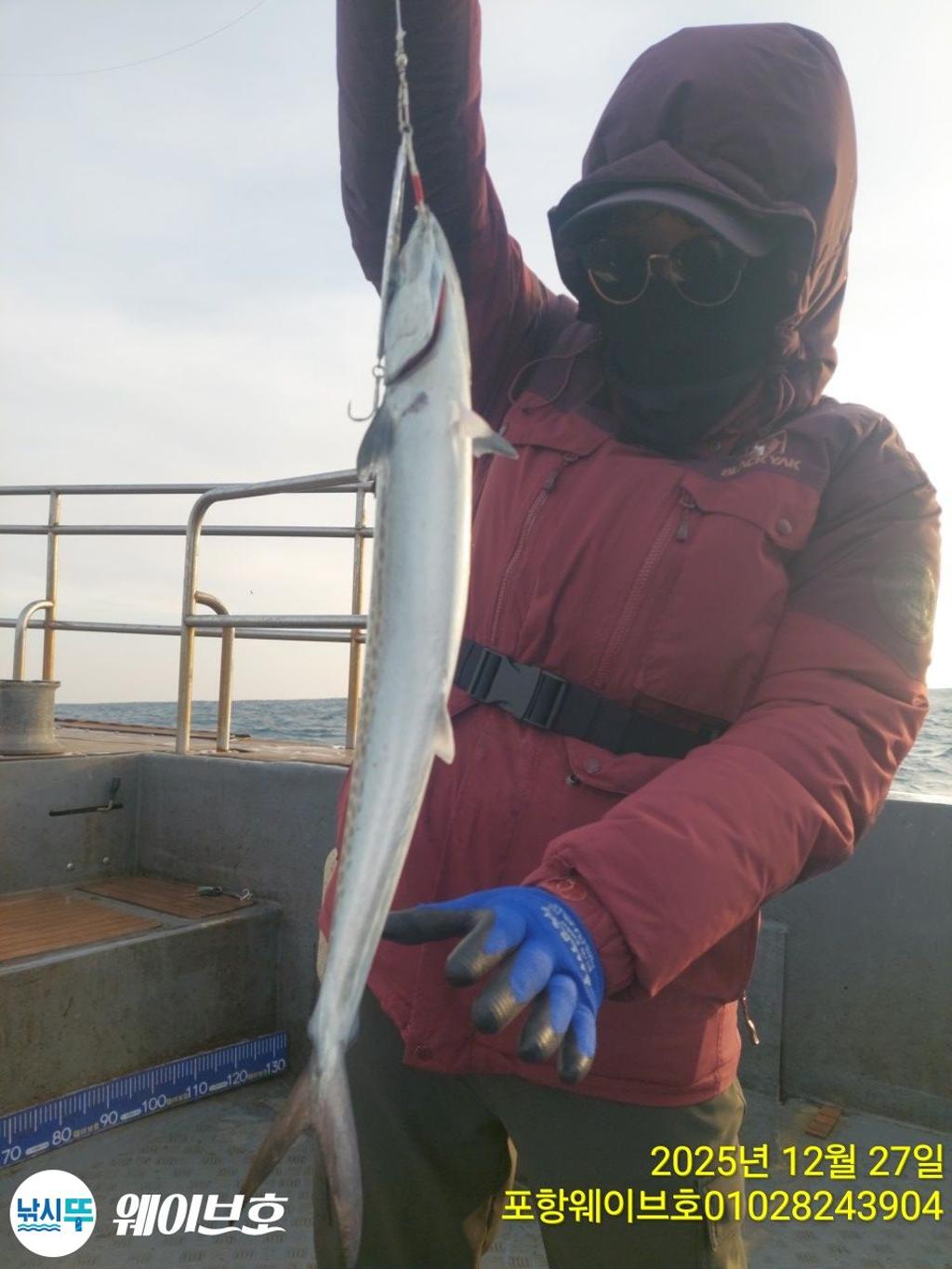 낚시뚜,방어,삼치,구룡포항,뉴웨이브호,낚시뚜1