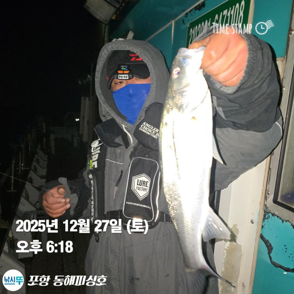낚시뚜,감성돔,포항(운하관),포항 동해피싱호,낚시뚜9