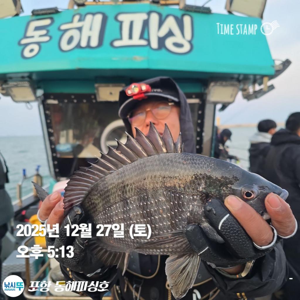 낚시뚜,감성돔,포항(운하관),포항 동해피싱호,낚시뚜3