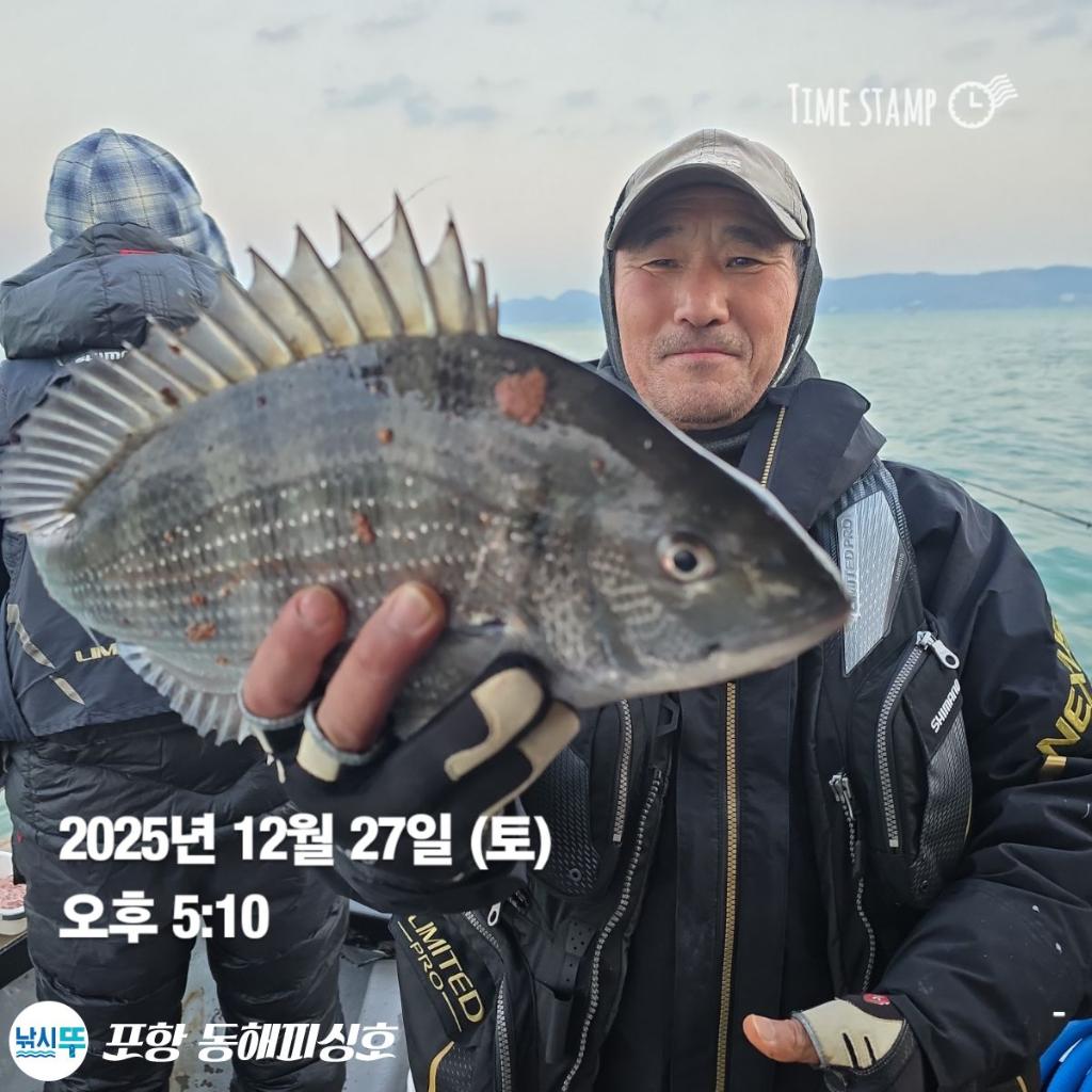 낚시뚜,감성돔,포항(운하관),포항 동해피싱호,낚시뚜2