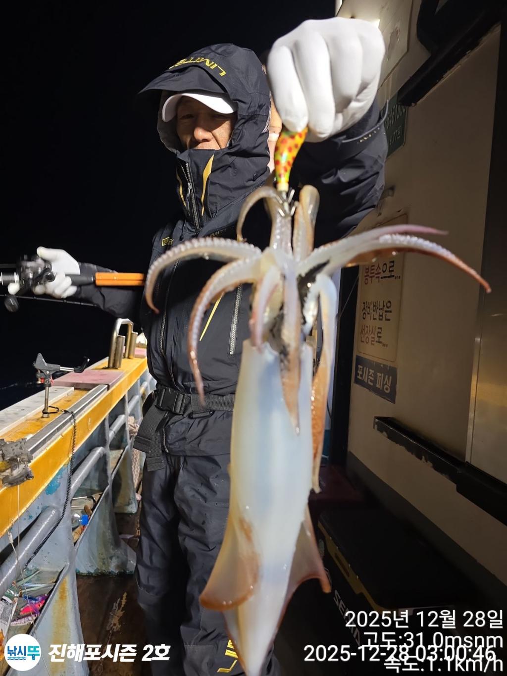 낚시뚜,오징어,진해행암항,진해포시즌 2호,낚시뚜21