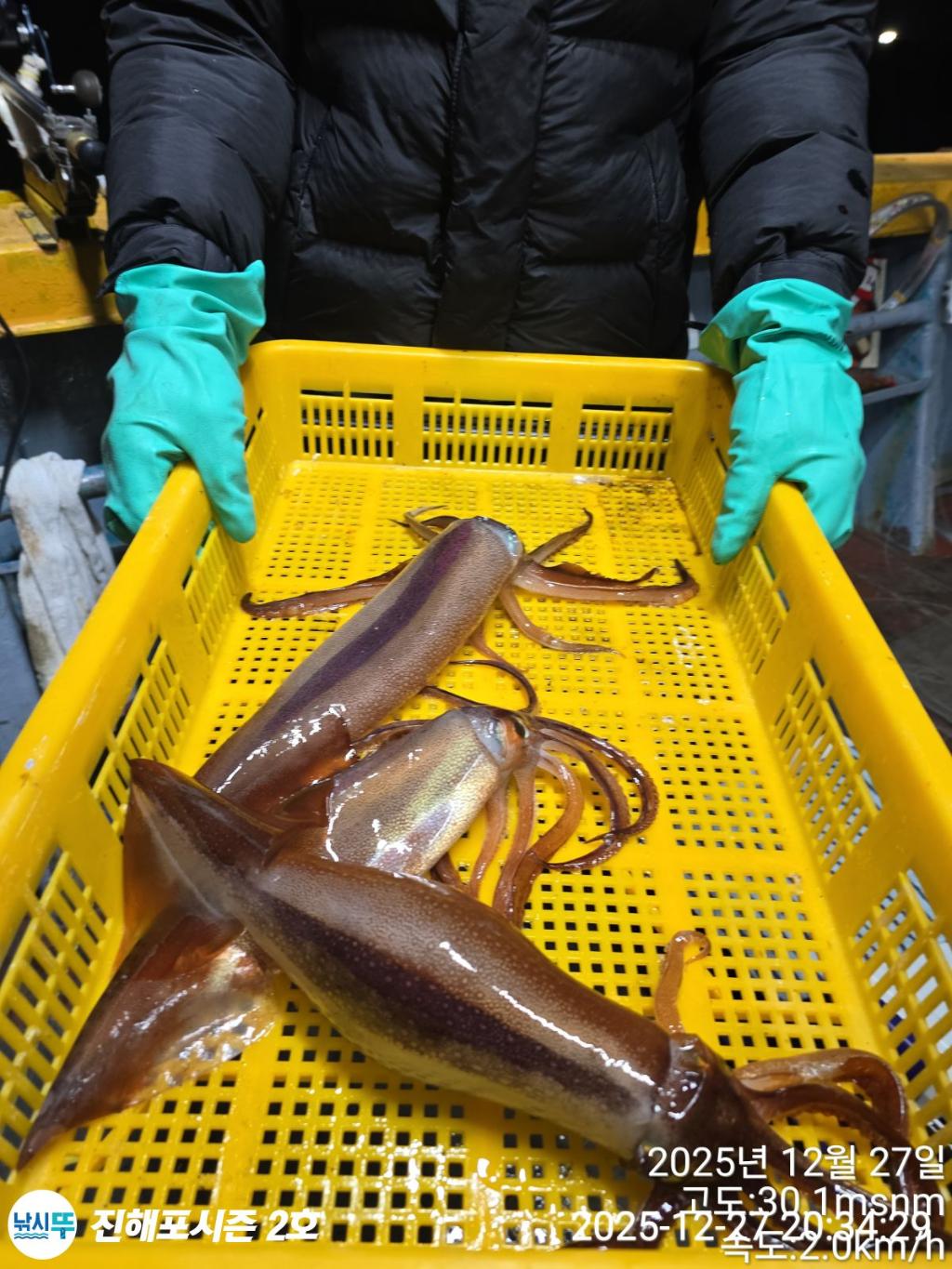 낚시뚜,오징어,진해행암항,진해포시즌 2호,낚시뚜11