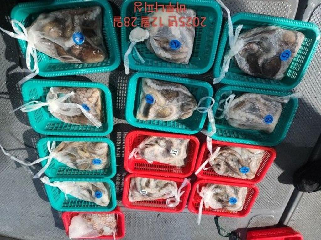 낚시뚜,낙지,속천항(진해),바루나피싱,낚시뚜11