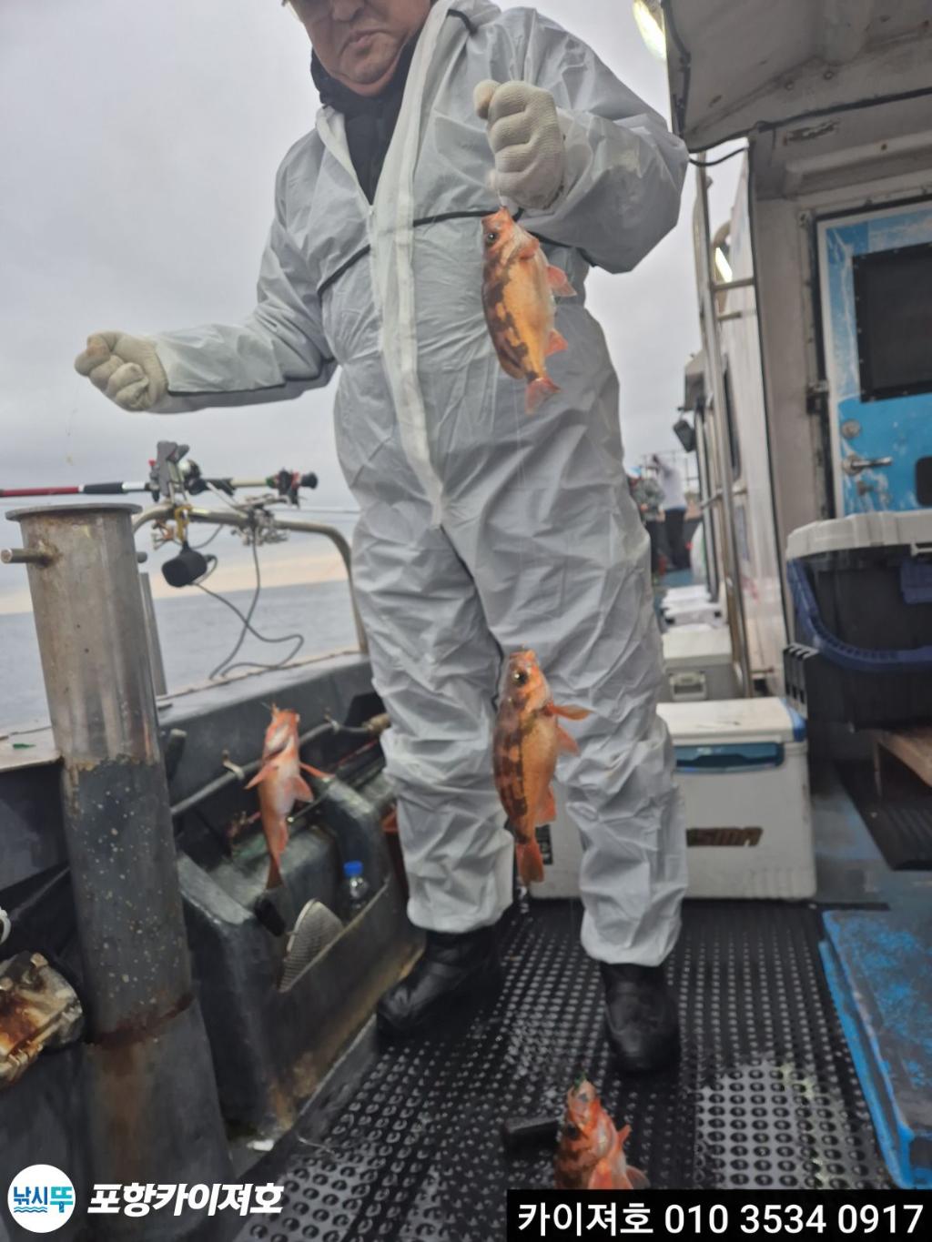 낚시뚜,열기,영일만항,포항카이져호,낚시뚜11