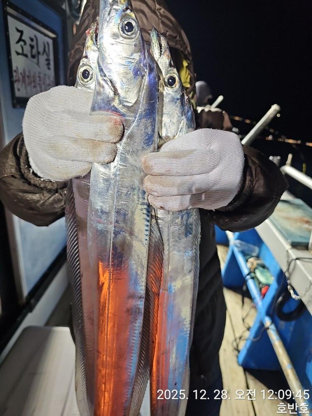 낚시뚜,갈치,통영 신전항,통영호반호,낚시뚜24