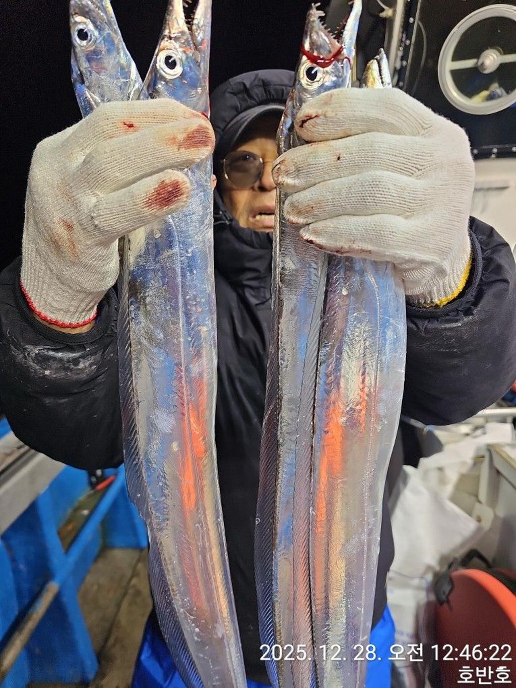 낚시뚜,갈치,통영 신전항,통영호반호,낚시뚜23