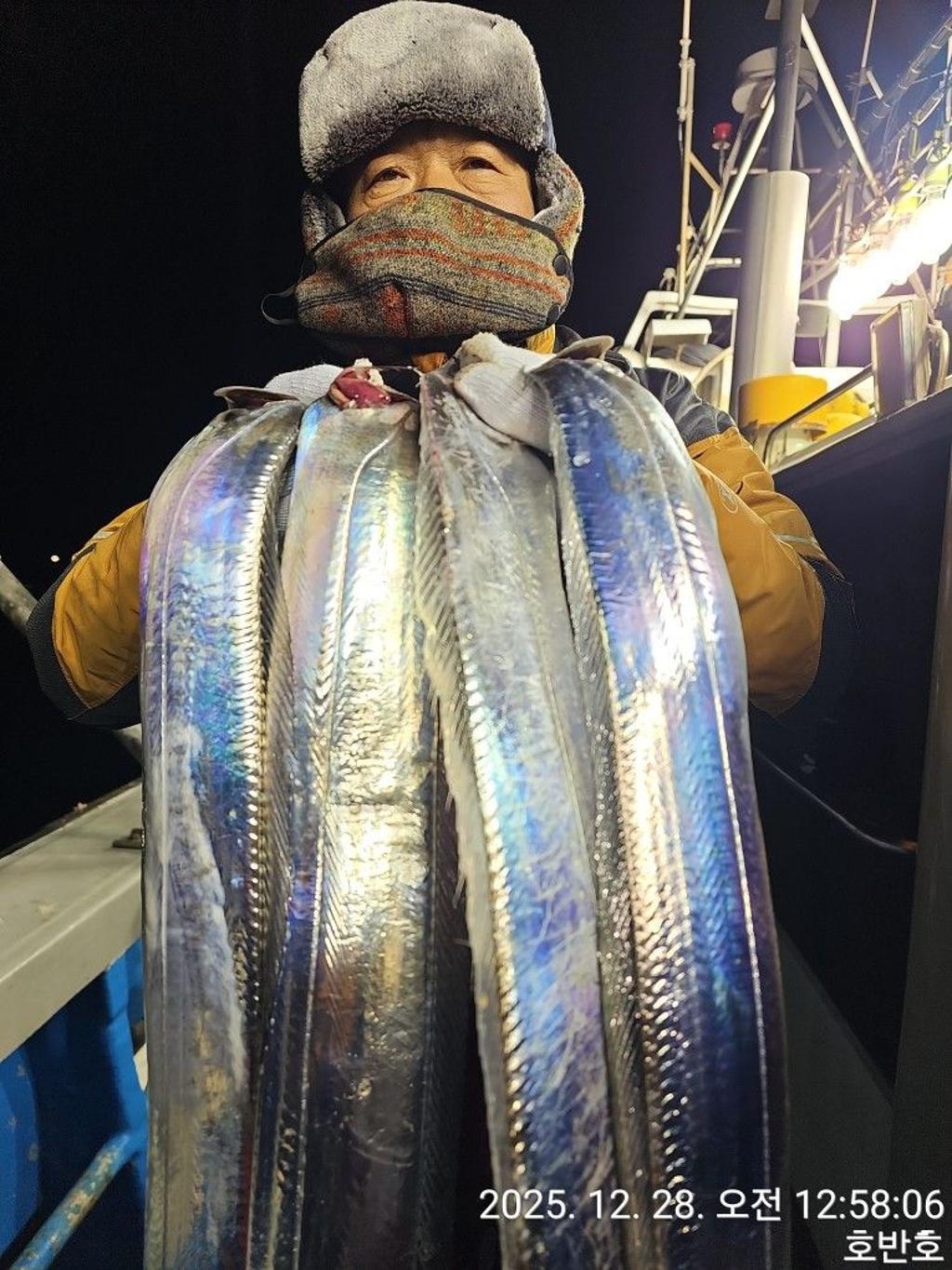 낚시뚜,갈치,통영 신전항,통영호반호,낚시뚜18