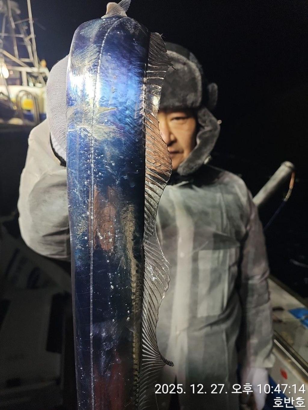 낚시뚜,갈치,통영 신전항,통영호반호,낚시뚜17