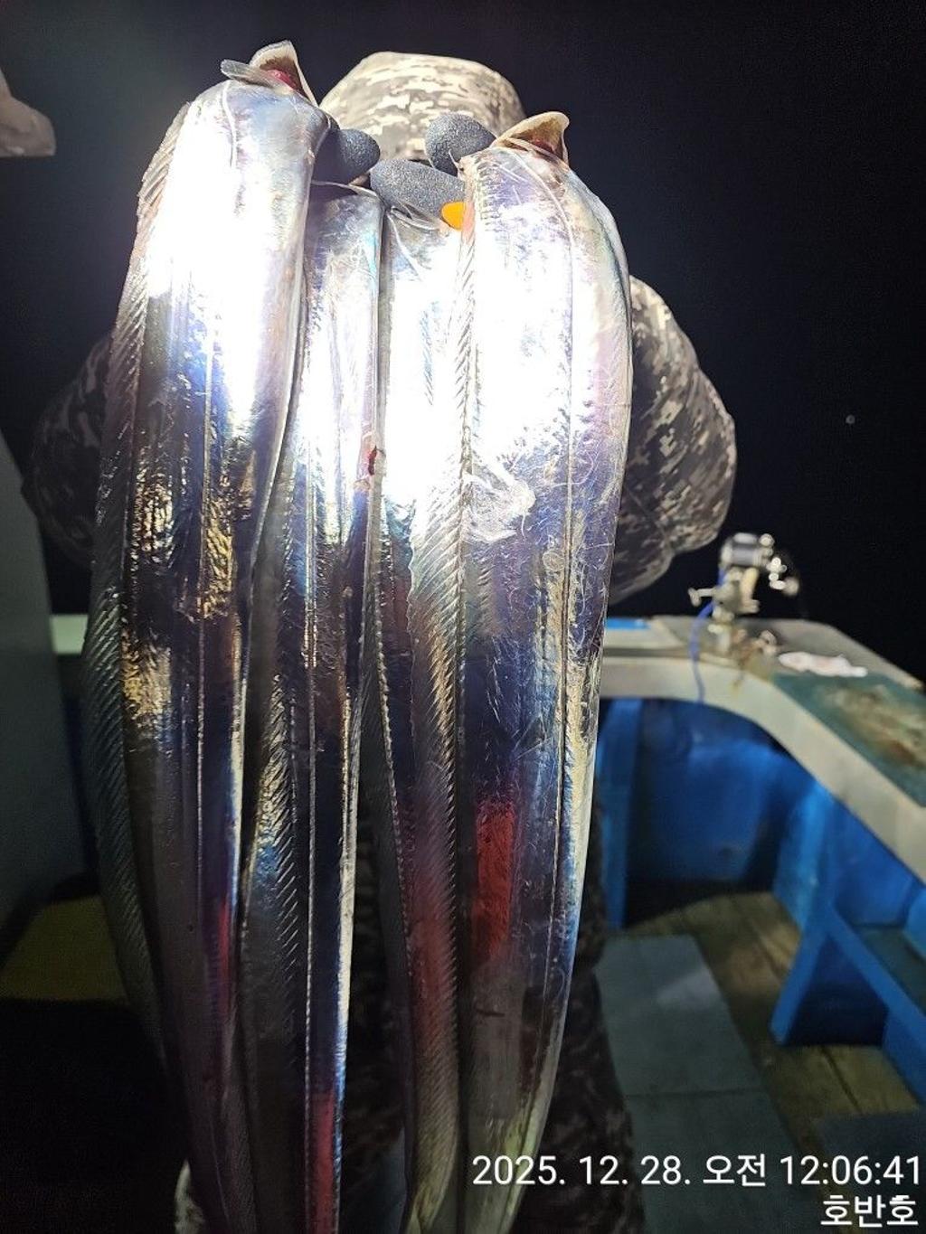 낚시뚜,갈치,통영 신전항,통영호반호,낚시뚜13