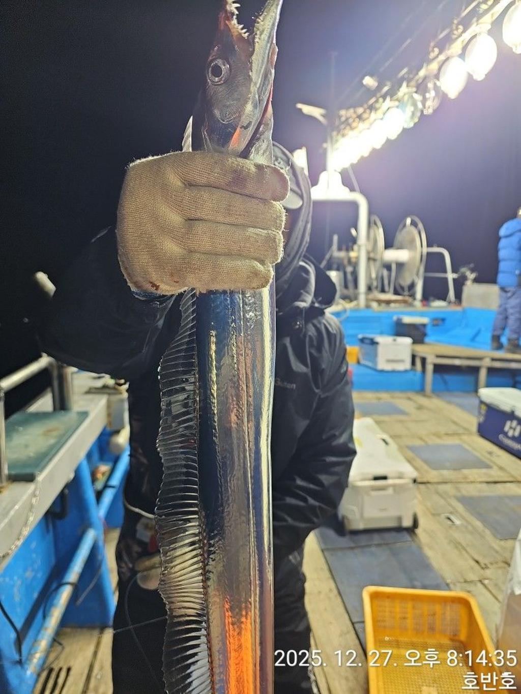 낚시뚜,갈치,통영 신전항,통영호반호,낚시뚜4