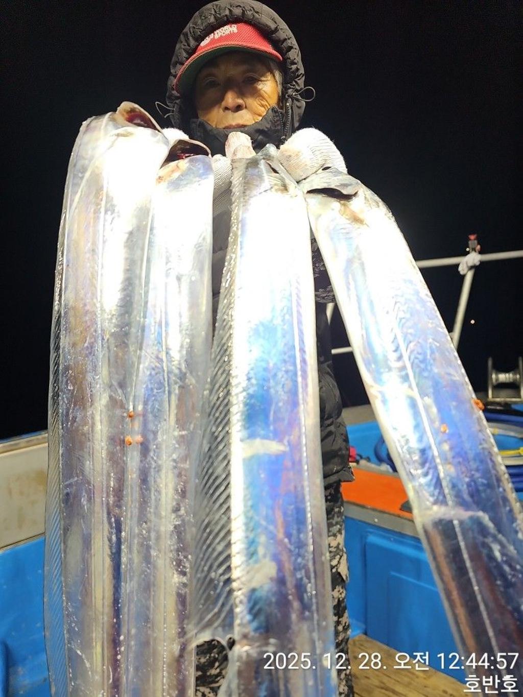 낚시뚜,갈치,통영 신전항,통영호반호,낚시뚜0