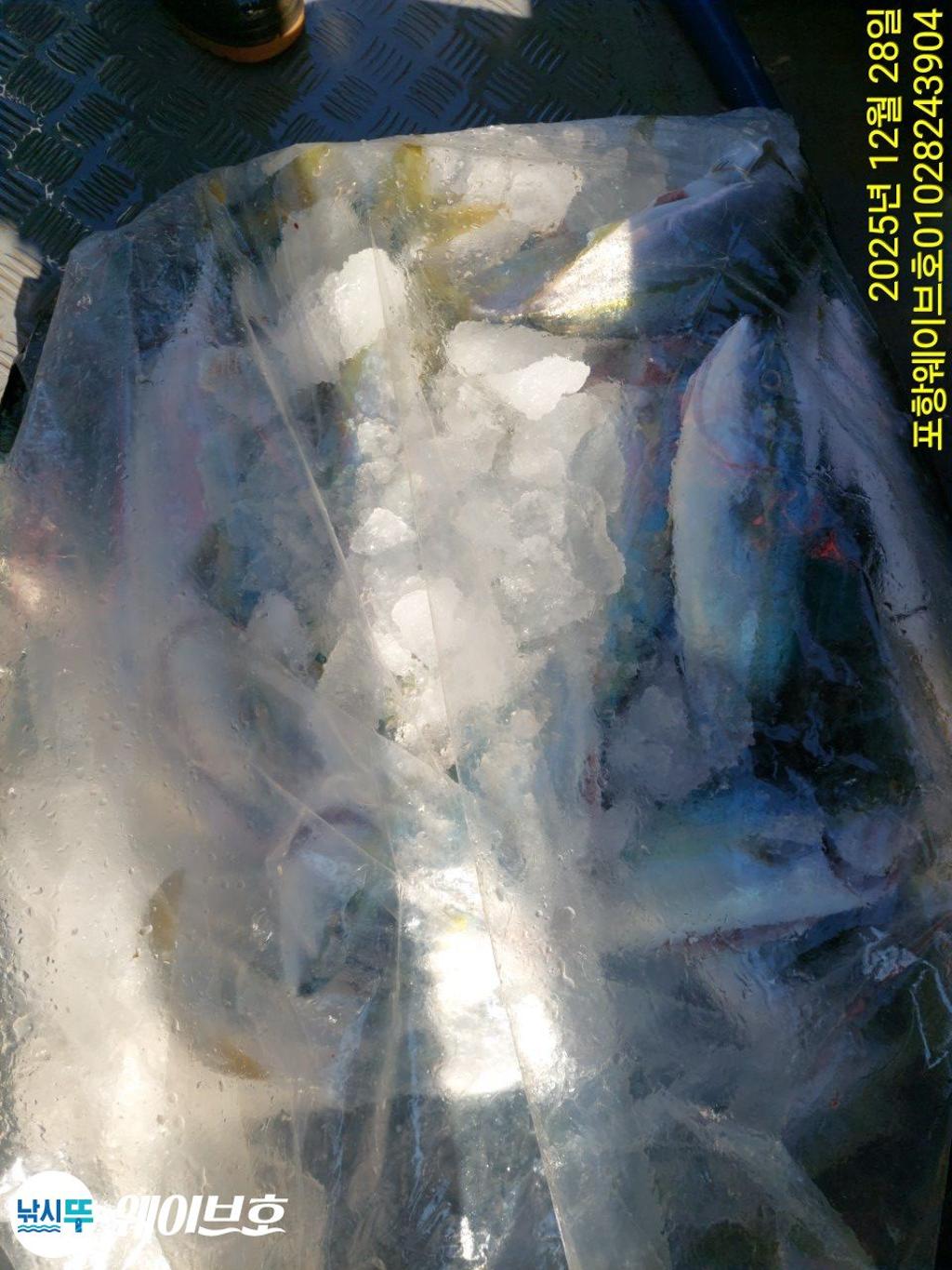 낚시뚜,방어,삼치,구룡포항,뉴웨이브호,낚시뚜21