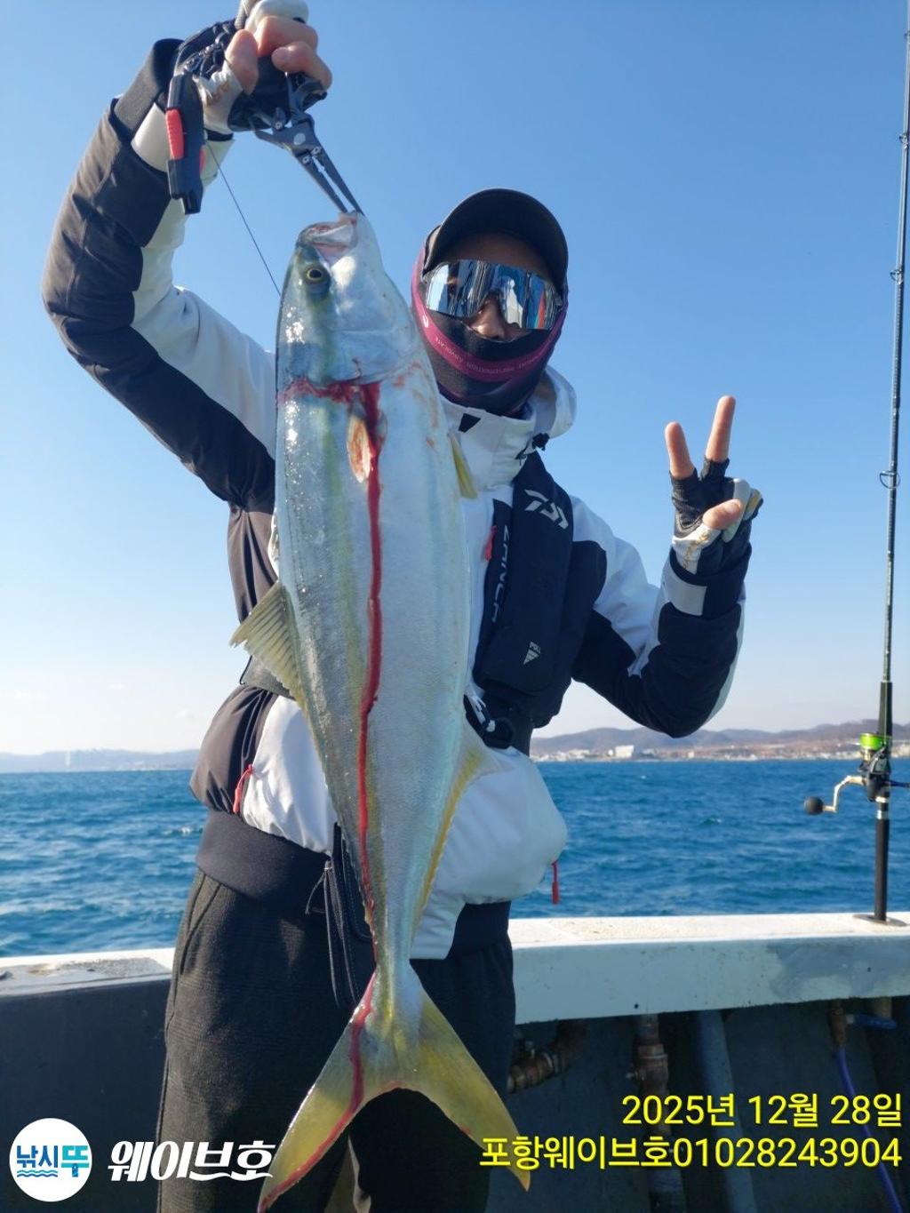 낚시뚜,방어,삼치,구룡포항,뉴웨이브호,낚시뚜8
