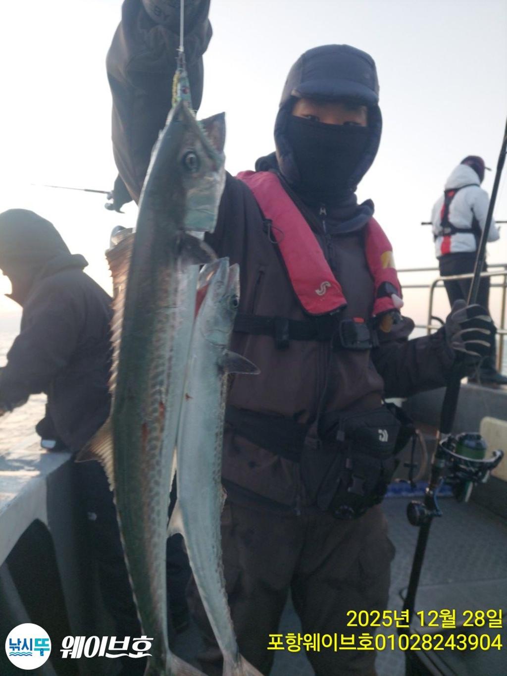 낚시뚜,방어,삼치,구룡포항,뉴웨이브호,낚시뚜4