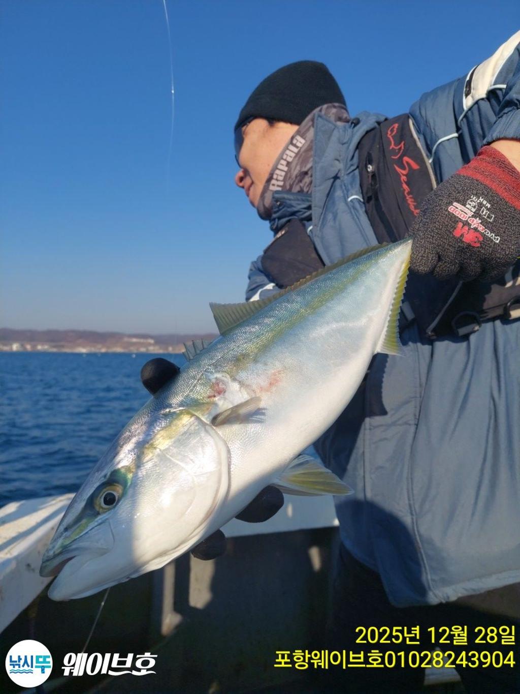 낚시뚜,방어,삼치,구룡포항,뉴웨이브호,낚시뚜1