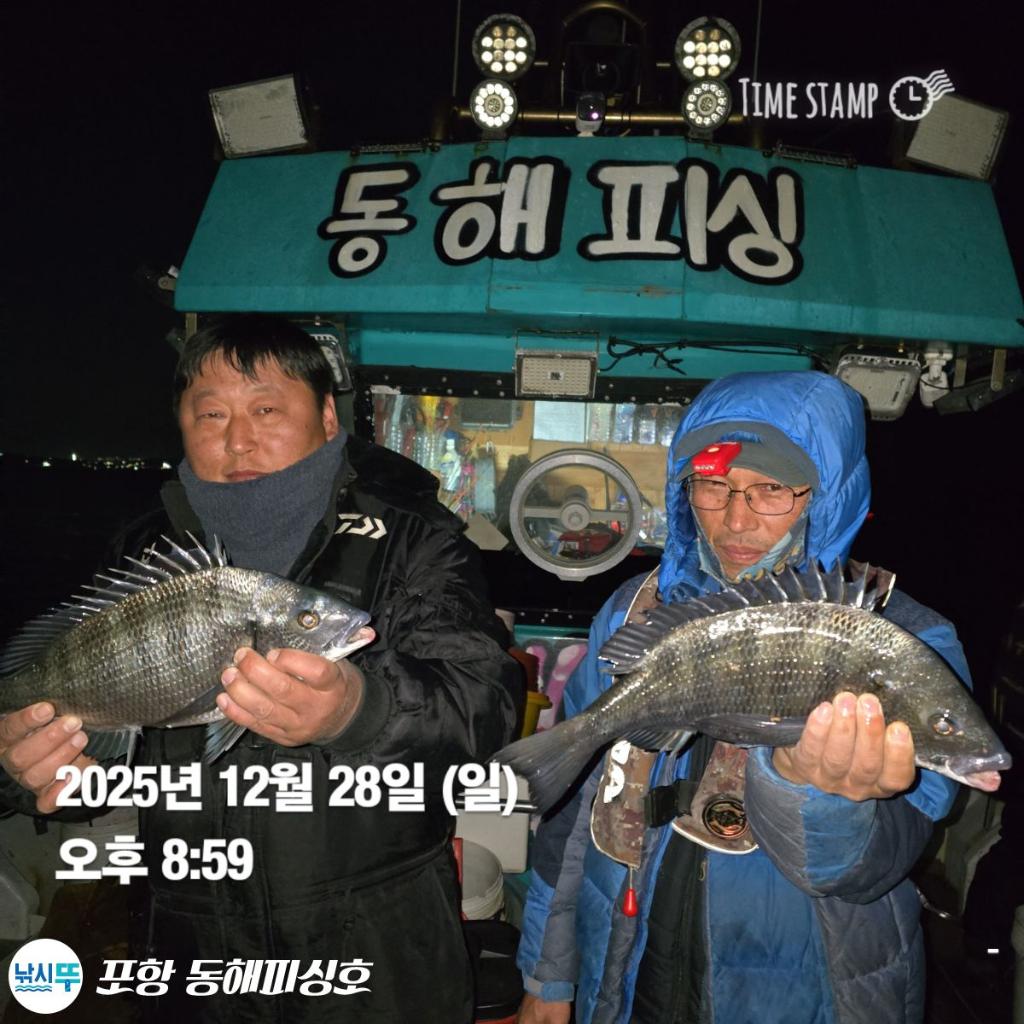 낚시뚜,감성돔,포항(운하관),포항 동해피싱호,낚시뚜5