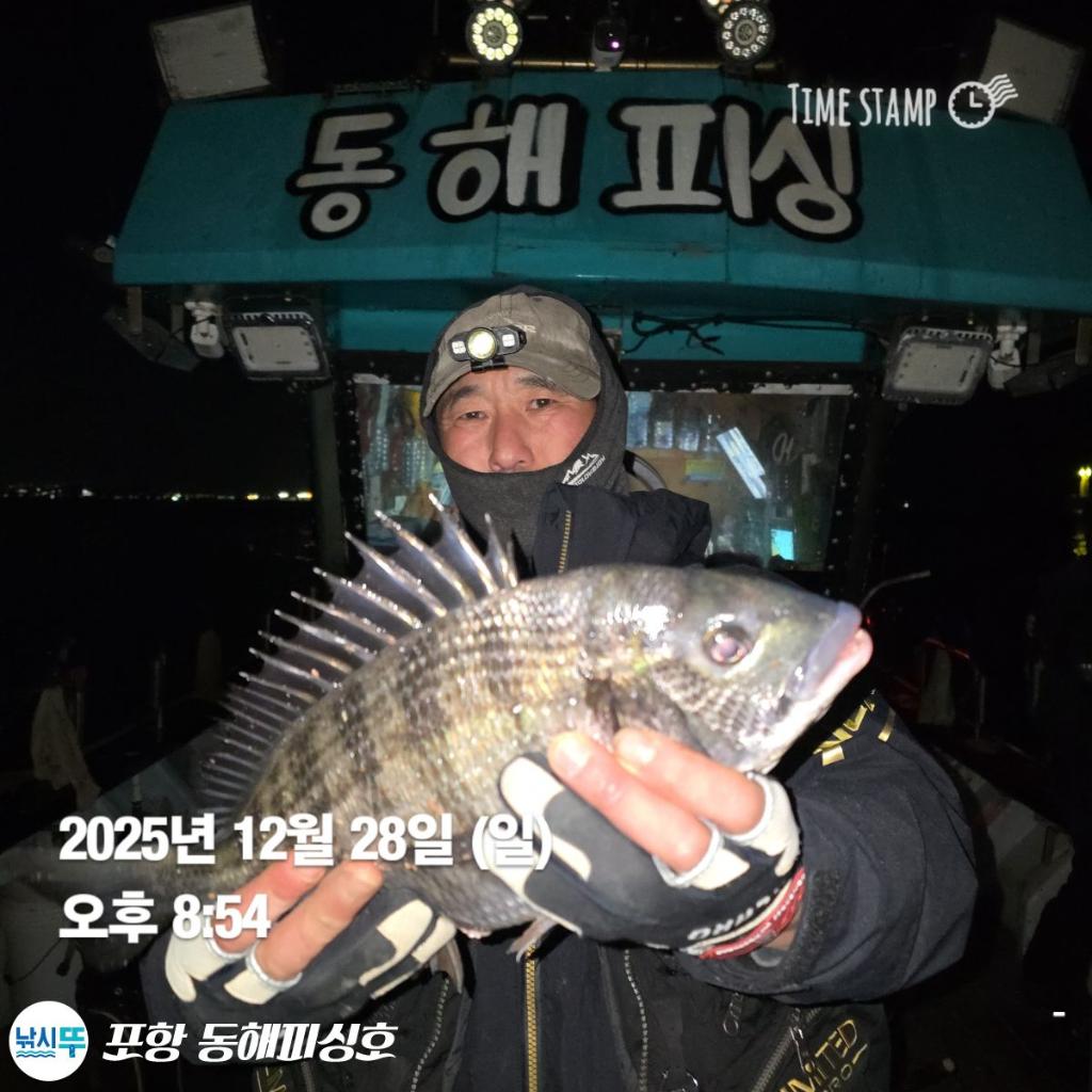 낚시뚜,감성돔,포항(운하관),포항 동해피싱호,낚시뚜3