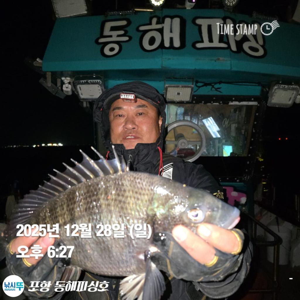 낚시뚜,감성돔,포항(운하관),포항 동해피싱호,낚시뚜0