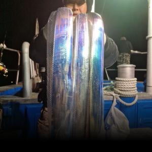 조황, 통영한려피싱 칼치 쿨러가득 씨알 굿 수요일자리여유이습니다