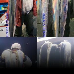 조황, [통영만선피싱] 갈치다녀왔습니다~~ 씨알 너~~무 좋아요!!! 기상허락시 출조합니다~~ 예약문의주세요^0^*