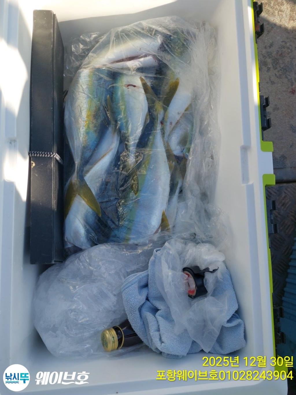 낚시뚜,방어,삼치,구룡포항,뉴웨이브호,낚시뚜15