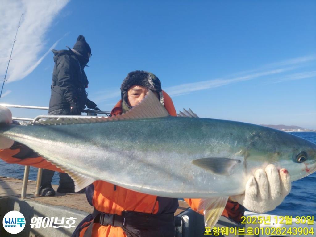 낚시뚜,방어,삼치,구룡포항,뉴웨이브호,낚시뚜0