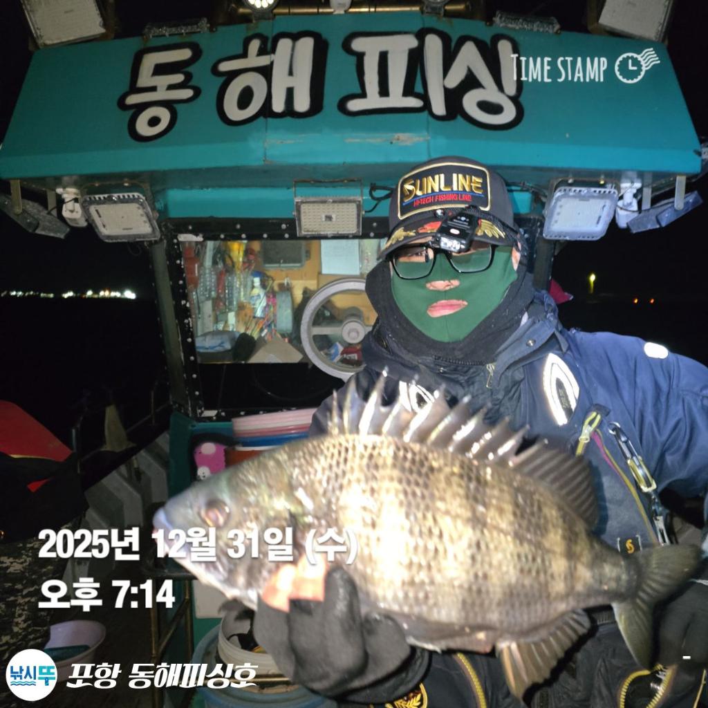 낚시뚜,감성돔,포항(운하관),포항 동해피싱호,낚시뚜2