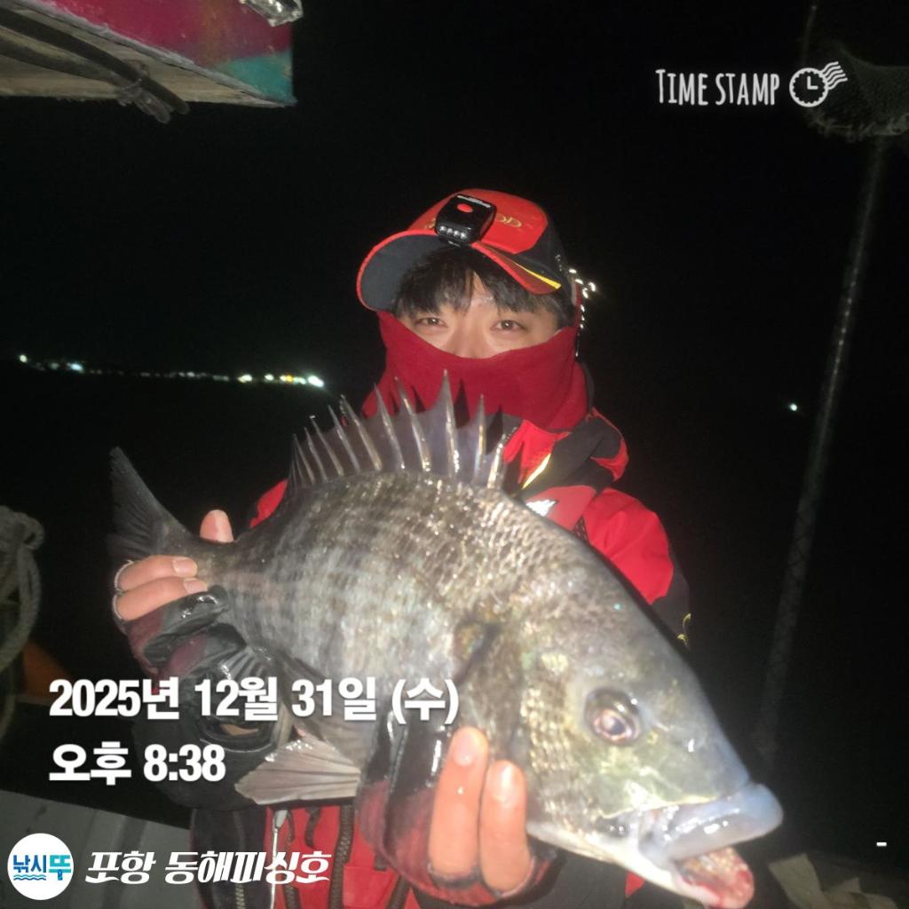 낚시뚜,감성돔,포항(운하관),포항 동해피싱호,낚시뚜0