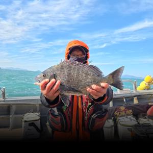 조황, 실전낚시 12월30일 감성돔을 대상으로 다녀왔습니다 