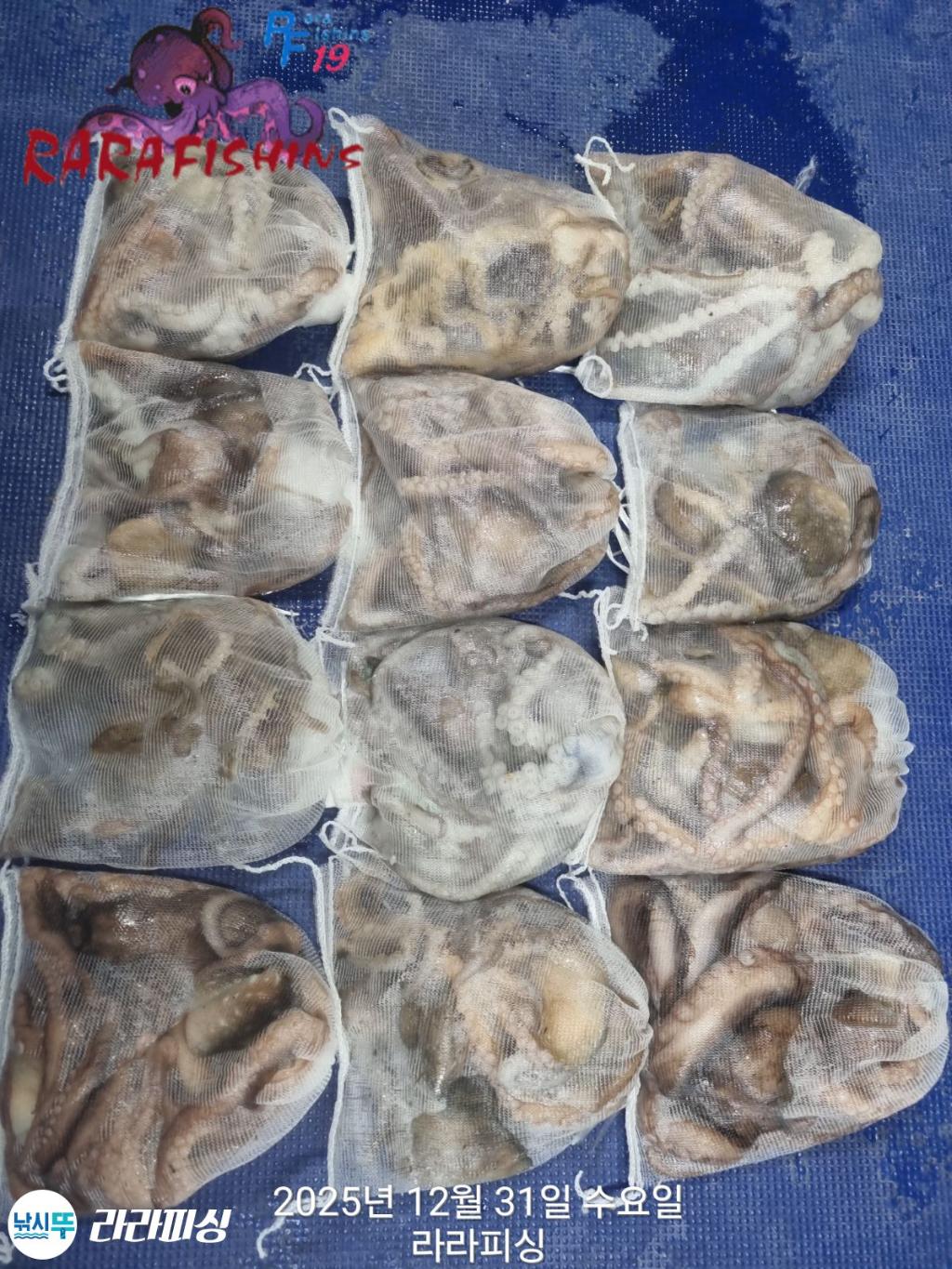 낚시뚜,낙지,속천항(진해),라라피싱,낚시뚜21