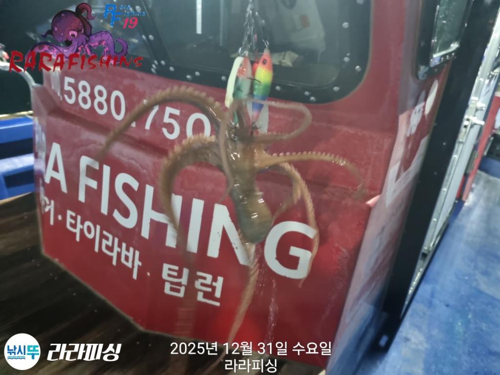 낚시뚜,낙지,속천항(진해),라라피싱,낚시뚜2