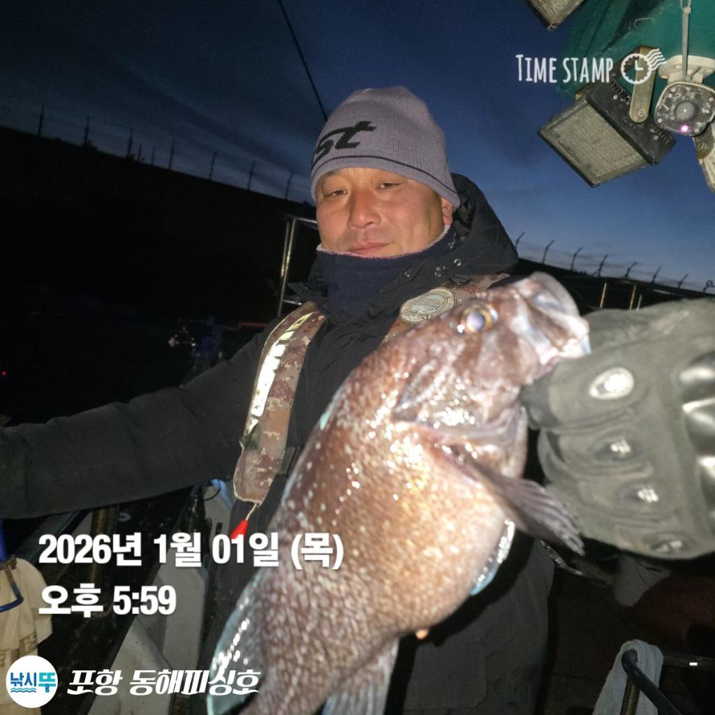 낚시뚜,감성돔,포항(운하관),포항 동해피싱호,낚시뚜4