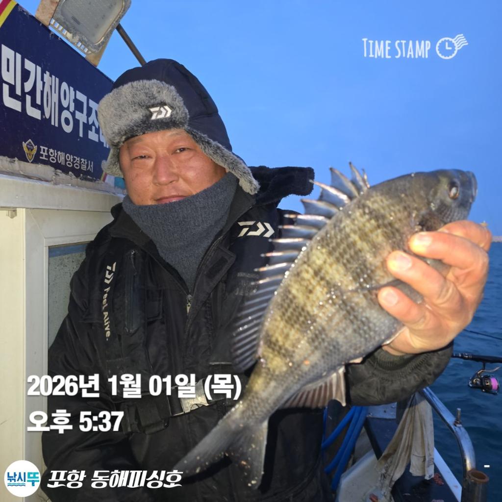 낚시뚜,감성돔,포항(운하관),포항 동해피싱호,낚시뚜3