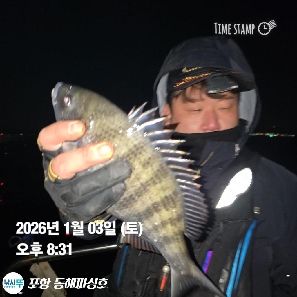 낚시뚜,감성돔,포항(운하관),포항 동해피싱호,낚시뚜5