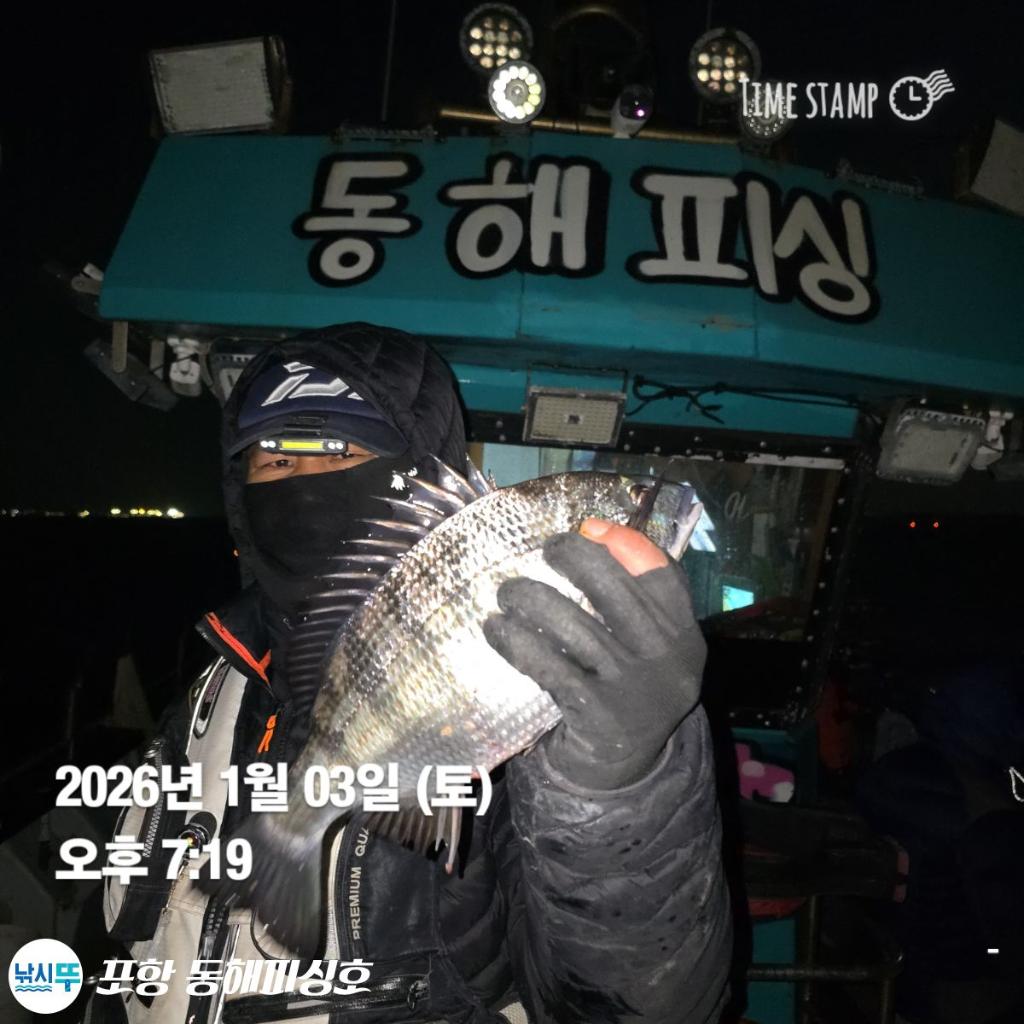 낚시뚜,감성돔,포항(운하관),포항 동해피싱호,낚시뚜4
