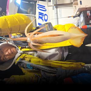 조황, 억수로큰왕오징어~먹물폭탄조항~화요일부터예약가능합니다